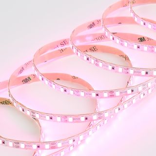 Светодиодная лента Standart-C DL-RZ-2835 120led 12V 9,6W IP20 Pink (S-образная)