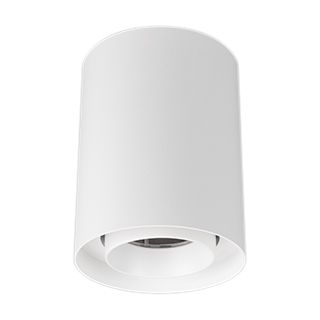 Светильник SP-FOCUS-R110-18W Day4000 (WH, 50 deg, 230V) (Arlight, IP54 Металл, 5 лет)