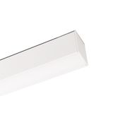b_DL-12600-0300.jpg