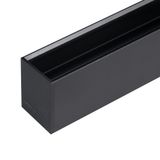 a_DL-12600-0925.jpg