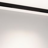 e_DL-12600-0448.jpg