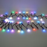 b_51665.jpg