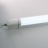 c_48495.jpg