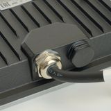 f_51044.jpg