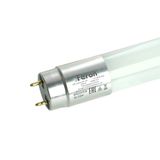 e_51080.jpg