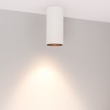 c_DL-12400-0311.jpg