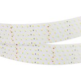d_DL-06200-0004.jpg