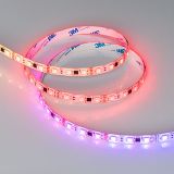 a_DL-06400-0040.jpg