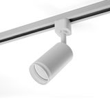 a_41371.jpg