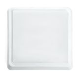 c_41781.jpg
