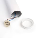 d_48083.jpg