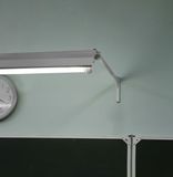 d_48158.jpg