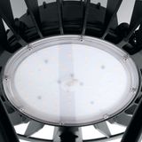 d_48336.jpg