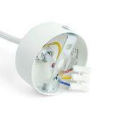 e_48648.jpg