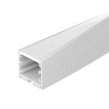 e_DL-01500-0297.jpg