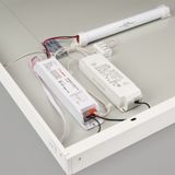 f_DL-04900-0004.jpg