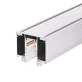 c_DL-01-0216.jpg