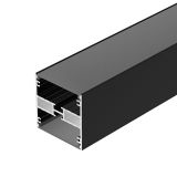 d_DL-01500-0175.jpg