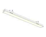 a_DL-05-0161.jpg