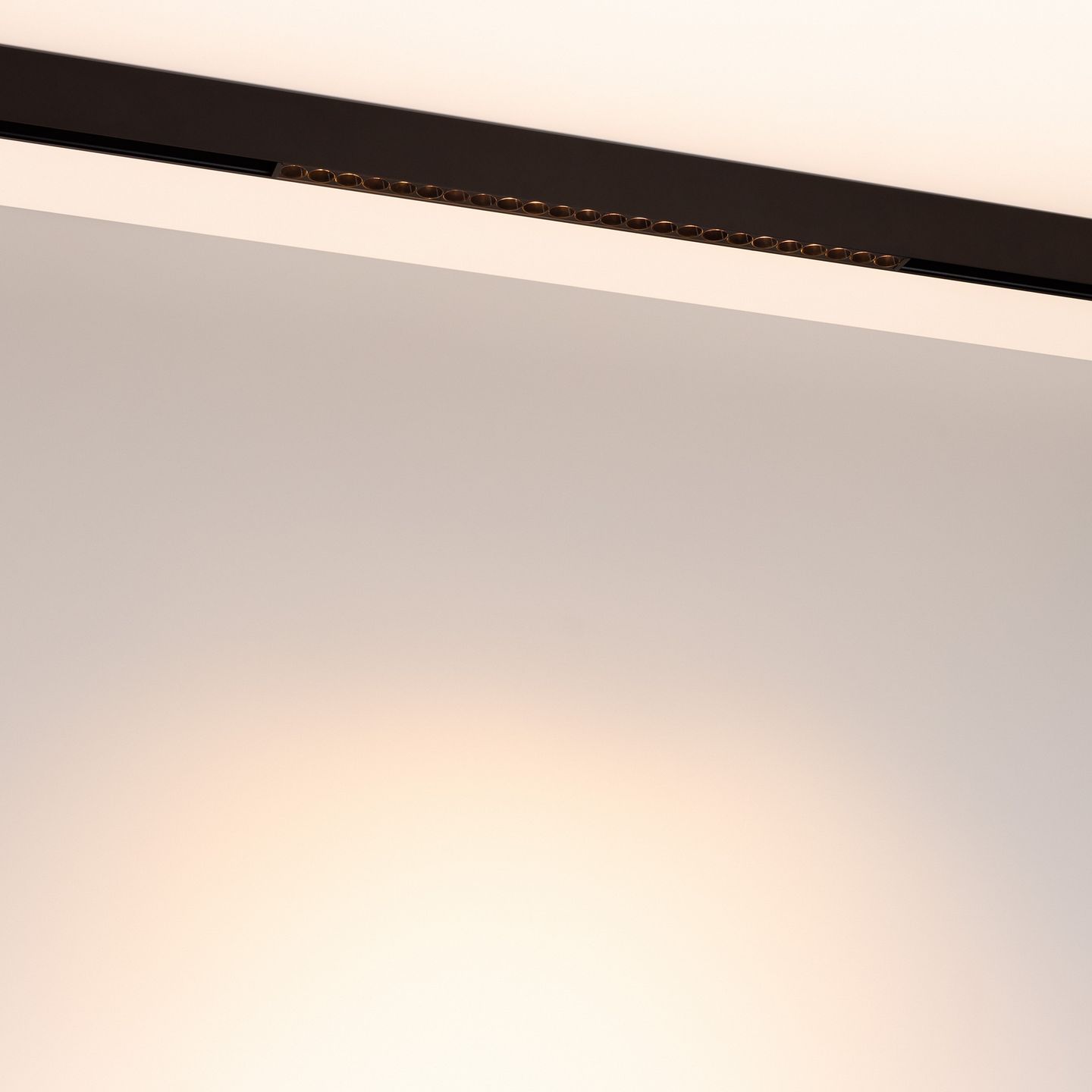 d_DL-12600-0448.jpg