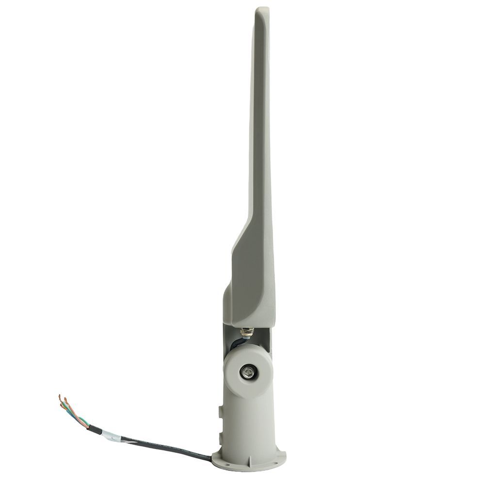 c_48686.jpg