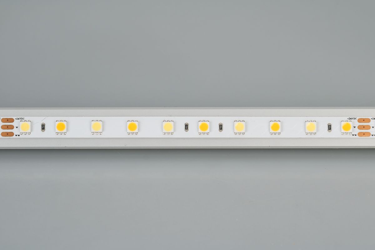 d_DL-06170-0031.jpg