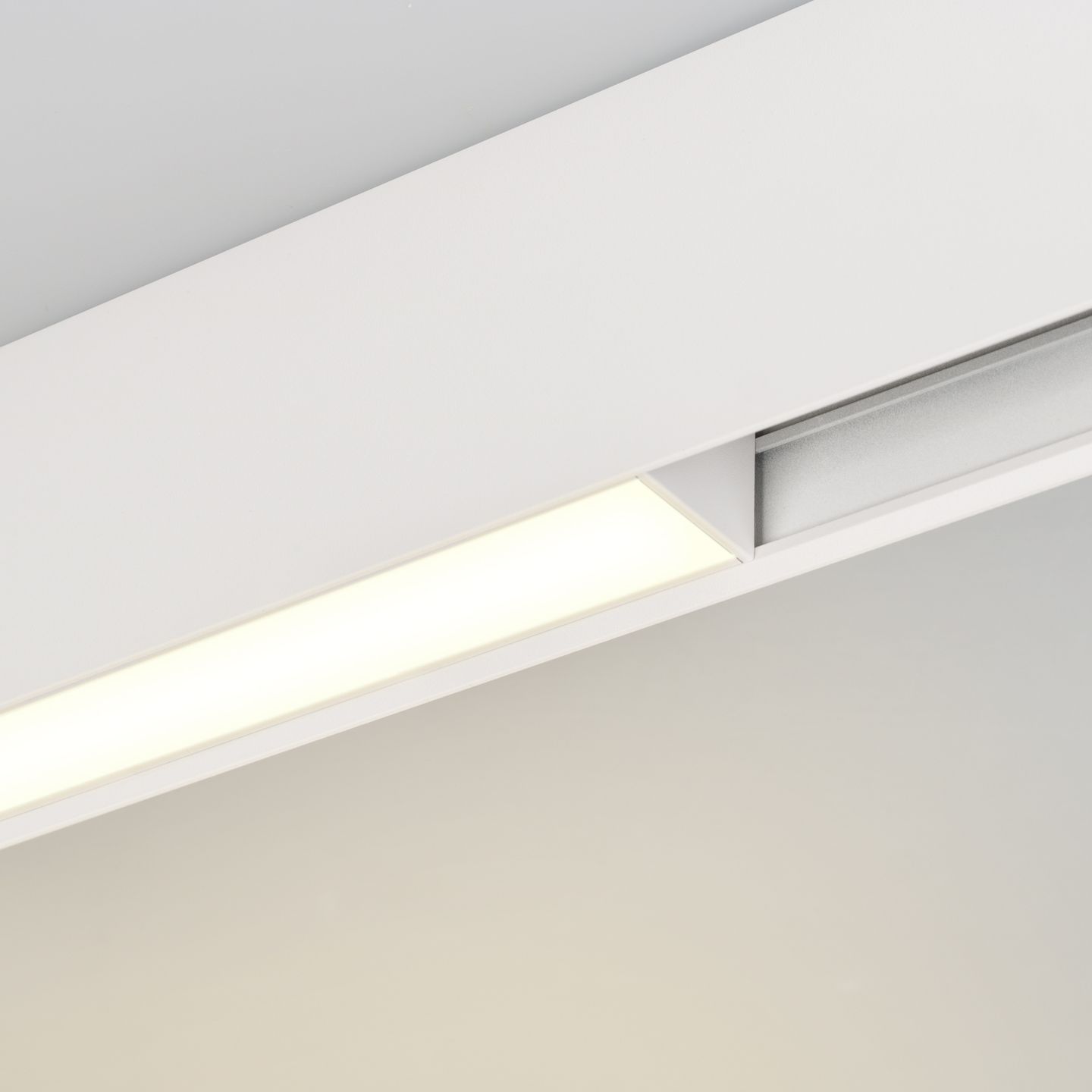 b_DL-12600-0304.jpg