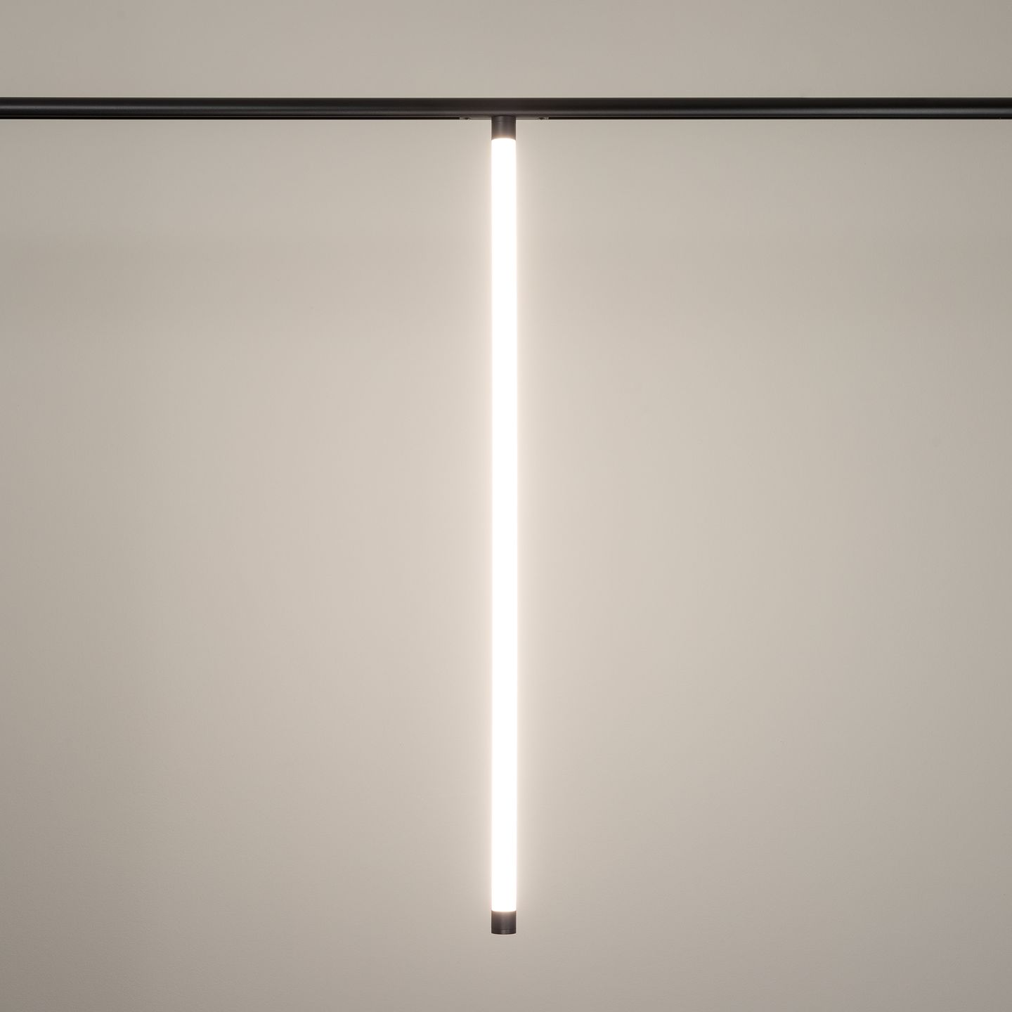 b_DL-12600-0367.jpg