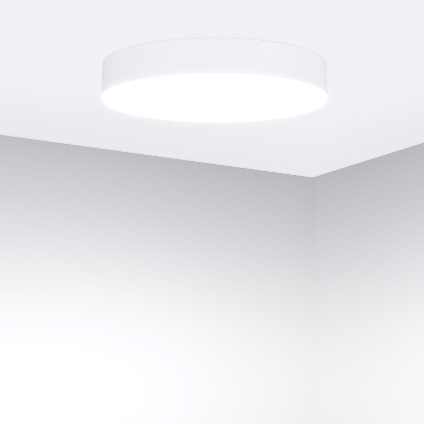 b_DL-12400-0200.jpg