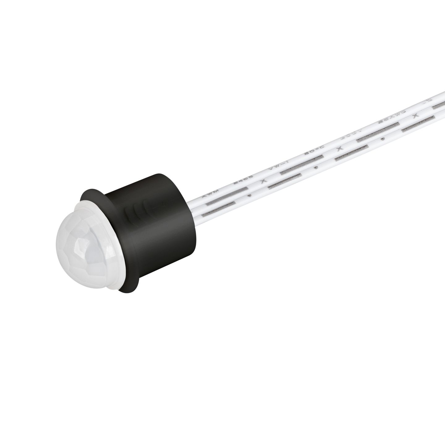 a_DL-15100-0050.jpg