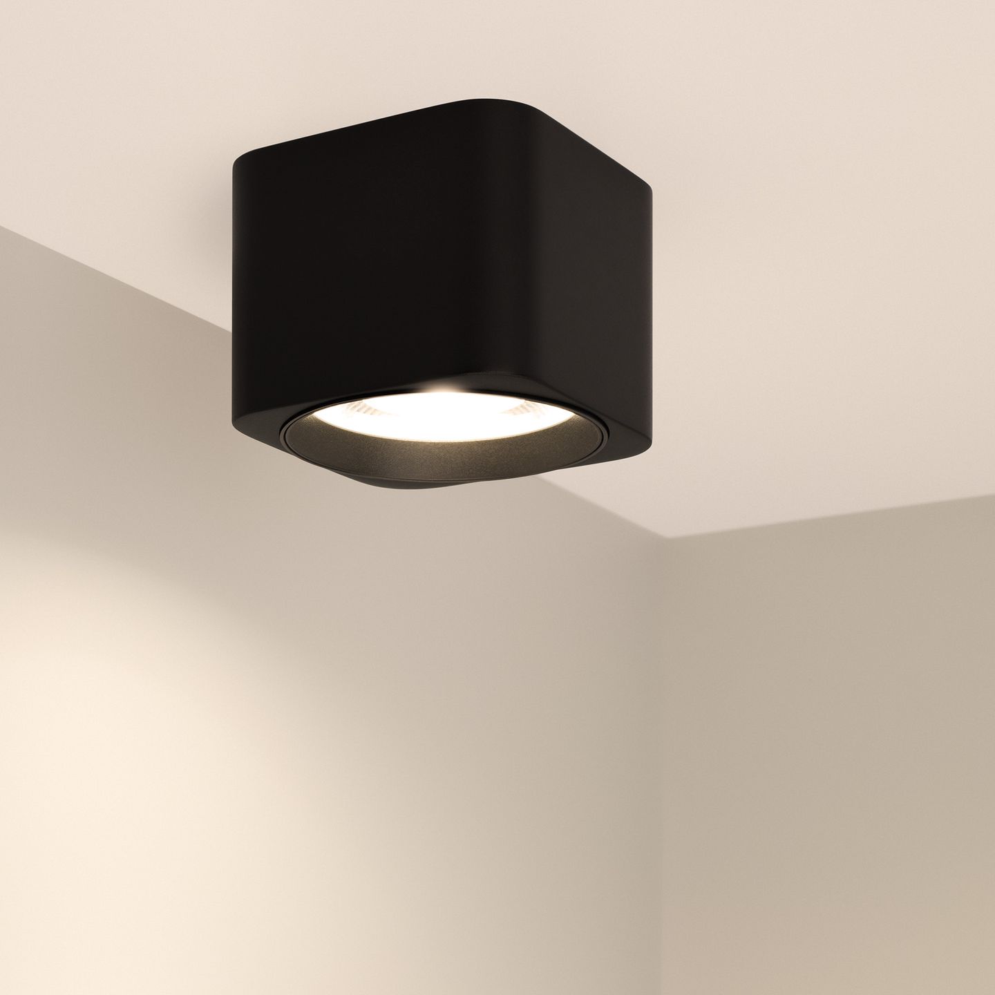 b_DL-12400-0154.jpg