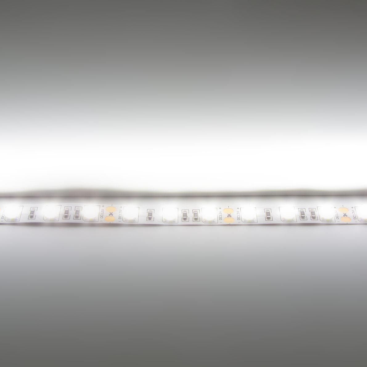 c_31029.jpg
