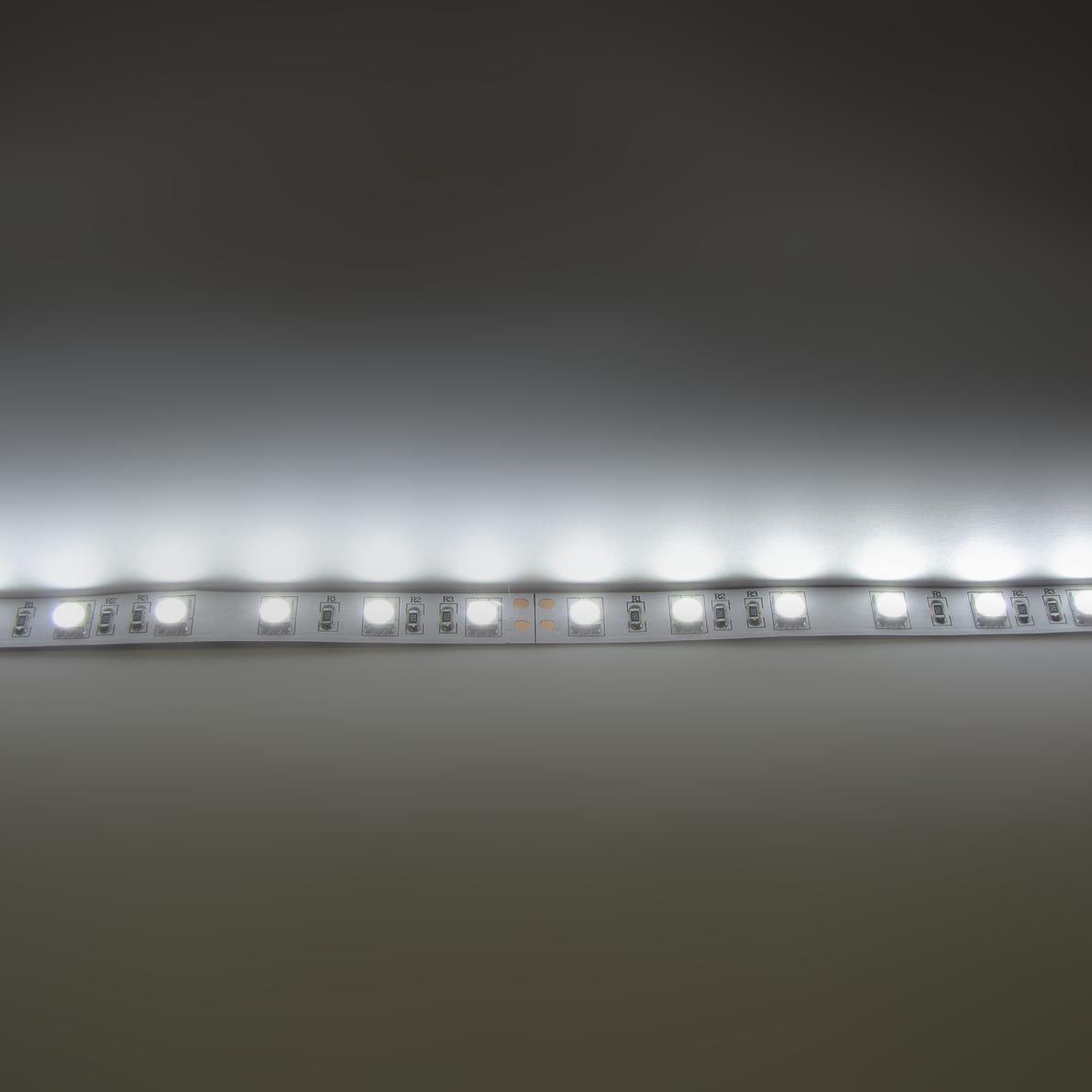 c_30082.jpg
