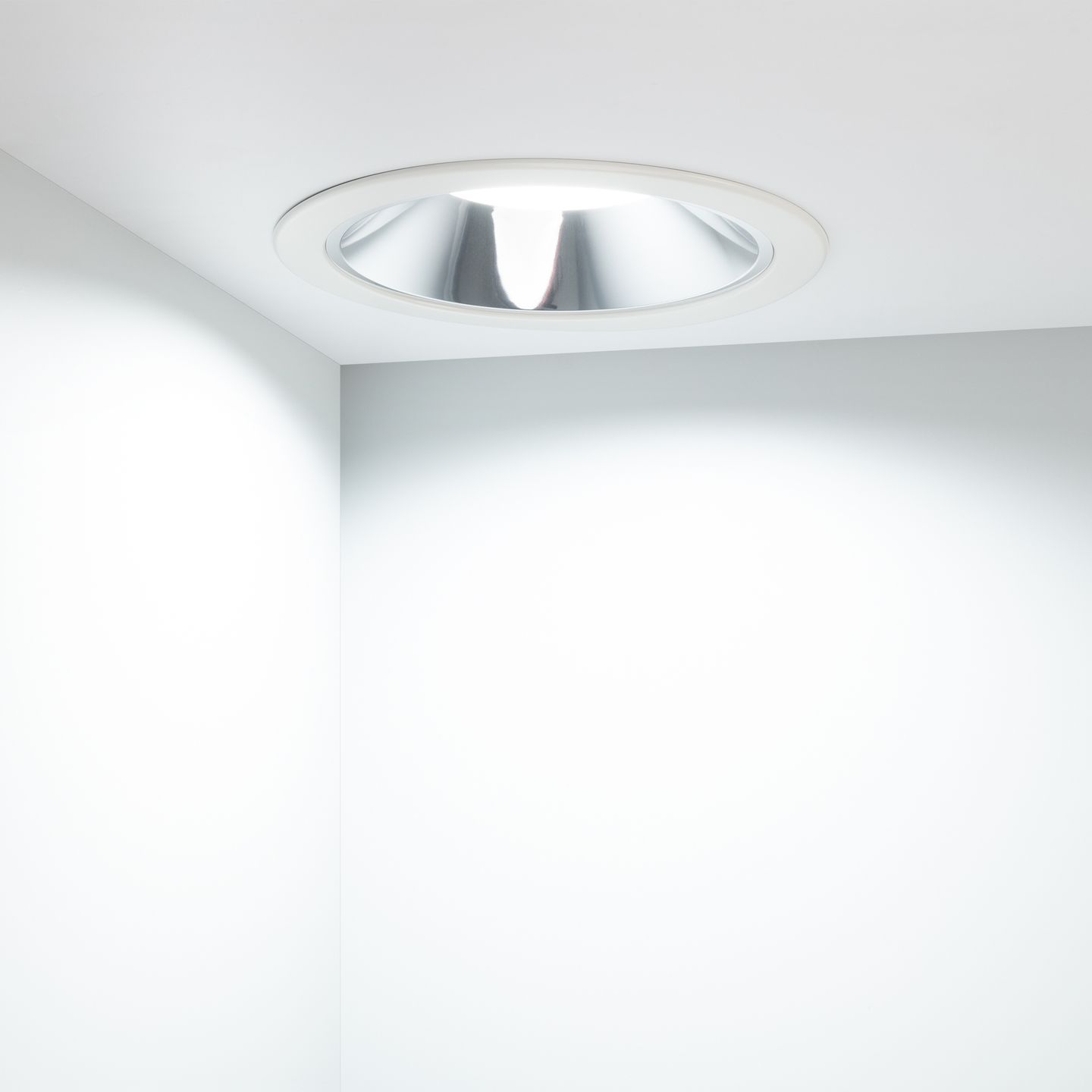 f_DL-04300-0054.jpg